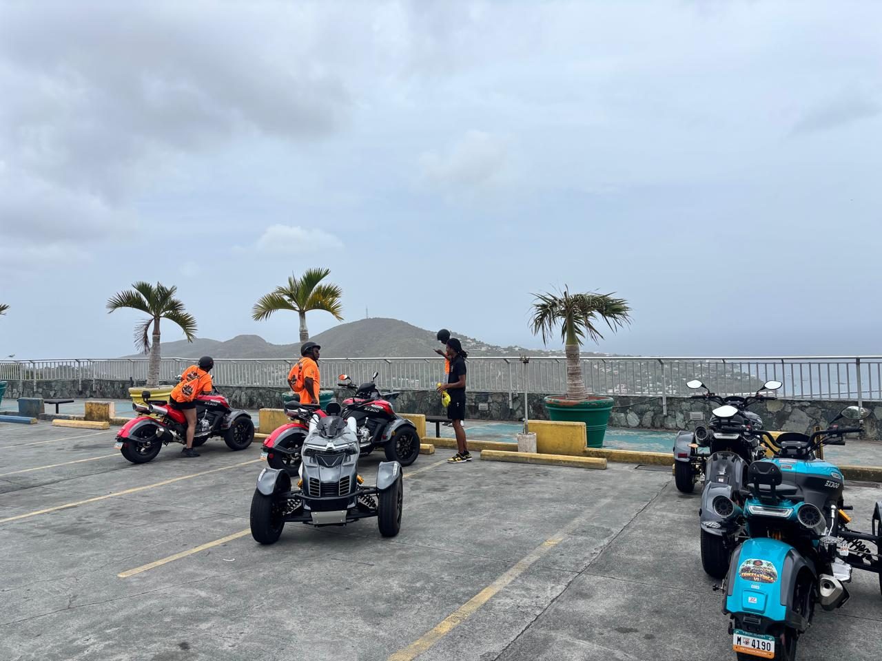 Super Trikes parked at a palm-lined scenic overlook